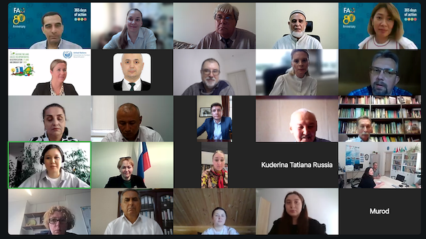участники_МРГ_08.07.2025.png